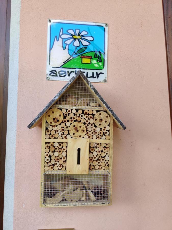 Вилла Agritur Leita Туенно Экстерьер фото