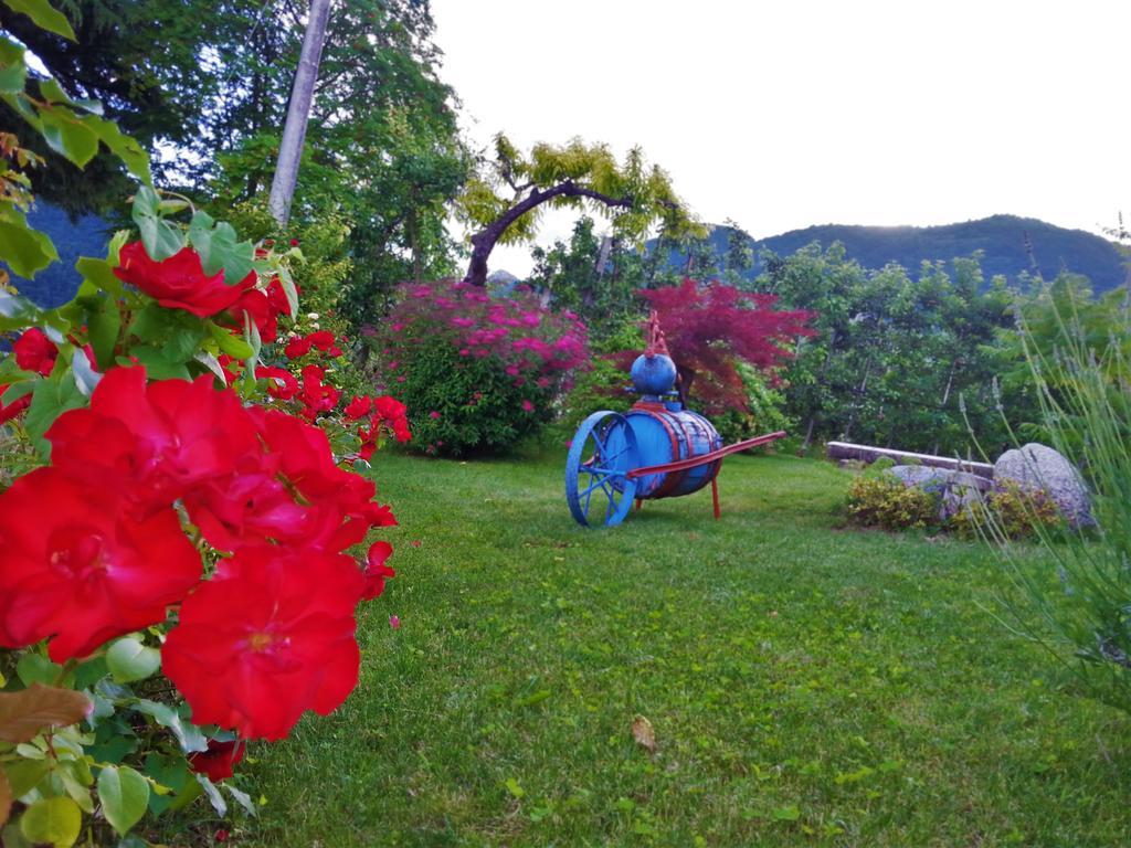Вилла Agritur Leita Туенно Экстерьер фото