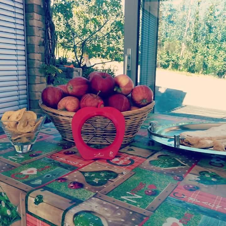Вилла Agritur Leita Туенно Экстерьер фото